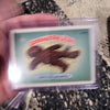 1986 Garbage Pail Kids GPK Stickers Cards - Series 5