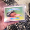 1986 Garbage Pail Kids GPK Stickers Cards - Series 5