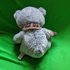 HugFun Plush Teddy Bear St Judes Winter Teddy Bear 2017 Avery w/ Scarf