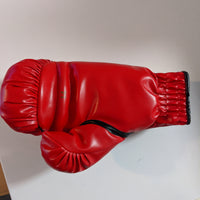 Signed Everlast Boxing Glove - Zab "Super #1" Judah - 5 Time Champ