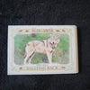 2021 Topps Allen & Ginter Baseball Cards - Choose From Drop-Down List