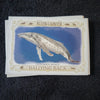 2021 Topps Allen & Ginter Baseball Cards - Choose From Drop-Down List