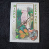 2021 Topps Allen & Ginter Baseball Cards - Choose From Drop-Down List