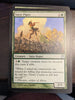 Magic The Gathering MTG Cards - Theros - Choose From Dropdown Menu