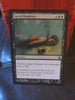 Magic The Gathering MTG Cards - Theros - Choose From Dropdown Menu