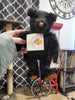 1992 Gund Canterbury Bears Black and Brown Plush Bear NWT
