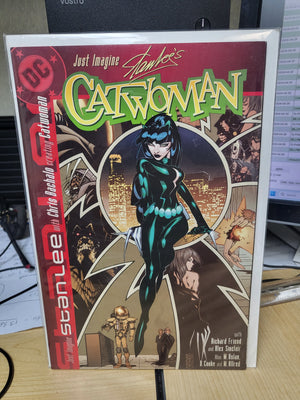 Just Imagine Stan Lee Creating Catwoman #1 (2002) DC Comics One Shot Comicbook