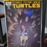 Teenage Mutant Ninja Turtles: Casey & April #3 (2015) Irene Koh Cover IDW NM