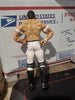 2004 Jakks WWE Ruthless Agression Loose Evan Bourne Wrestling Figure w/Knee Pads