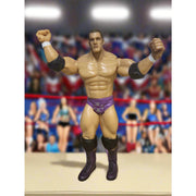 2003 WWE Jakks Ruthless Aggression Series 6 HHH Purple Tights Wrestling Figure