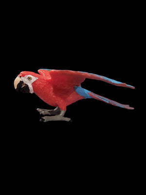 2006 Safari Ltd. Green-Winged Macaw Wings Of The World 4.5