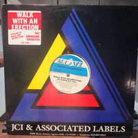 The Swinging Erudites Walk With An Erection 12" Parody Dance Mix 1987 Record Hype