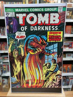 Tomb Of Darkness #11 (1974) Ron Wilson Cover Jack Kirby Spawn of Witch Woman VF