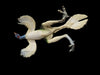 2005 Safari Ltd. Carnegie Collection Caudipteryx 6" Prehistoric Dinosaur Retired Figure