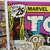 Tomb Of Darkness #20 (1976) Skeleton Kiss Cover Stan Lee Script FINE Bronze Horror