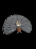 2006 Safari Ltd. Peacock Wings Of The World 4" x 3" Animal Kingdom Figure