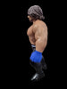 2018 WWE Mattel Retro Style Series 3 Swinging Arm AJ Styles Wrestling Action Figure