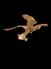 2005 Safari Ltd. Carnegie Collection Microraptor 6" Prehistoric Dinosaur Retired Figure