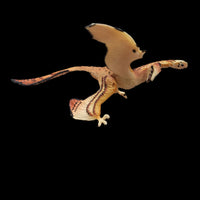 2005 Safari Ltd. Carnegie Collection Microraptor 6" Prehistoric Dinosaur Retired Figure