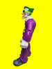 2010 DC Batman Hero World Funny Joker 5" Super Friends Action Figure