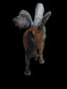 2019 Papo Fantasy Figure Hippogryph Eagle Horse Hybird Hand Painted Toy 36022