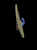 2006 Safari Ltd. Peacock Wings Of The World 4" x 3" Animal Kingdom Figure