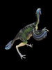 2005 Safari Ltd. Carnegie Collection Caudipteryx 6" Prehistoric Dinosaur Retired Figure