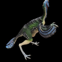 2005 Safari Ltd. Carnegie Collection Caudipteryx 6" Prehistoric Dinosaur Retired Figure