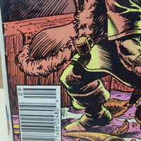 Conan The King #48 (1988) Newsstand Edition Hocherty & Bator Cover Art EX/FN