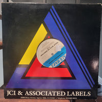 The Swinging Erudites Walk With An Erection 12" Parody Dance Mix 1987 Record Hype