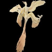 2005 Safari Ltd. Carnegie Collection Microraptor 6" Prehistoric Dinosaur Retired Figure