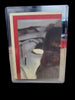 1980 Star Wars Empire Strikes Back Series 1 #11 Yellow Princess Leia Chewbacca Sticker