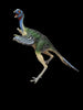 2005 Safari Ltd. Carnegie Collection Caudipteryx 6" Prehistoric Dinosaur Retired Figure