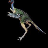2005 Safari Ltd. Carnegie Collection Caudipteryx 6" Prehistoric Dinosaur Retired Figure