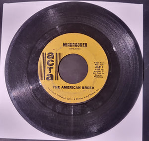 The American Breed Bend Me, Shape Me / Mindrocker 1967 Rock 45pm ACTA Records