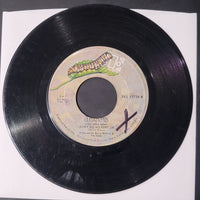 The Doors Love Her Madly / Don't Go No Further 45rpm Record EKS-45726 Jim Morrison 1971