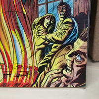 Tomb Of Darkness #11 (1974) Ron Wilson Cover Jack Kirby Spawn of Witch Woman VF
