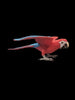 2006 Safari Ltd. Green-Winged Macaw Wings Of The World 4.5" Animal Kingdom Figure