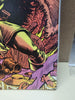 Conan The King #48 (1988) Newsstand Edition Hocherty & Bator Cover Art EX/FN