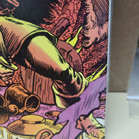 Conan The King #48 (1988) Newsstand Edition Hocherty & Bator Cover Art EX/FN