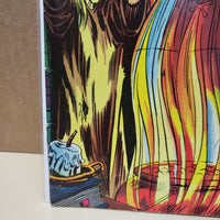 Tomb Of Darkness #11 (1974) Ron Wilson Cover Jack Kirby Spawn of Witch Woman VF