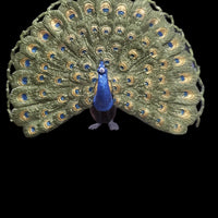 2006 Safari Ltd. Peacock Wings Of The World 4" x 3" Animal Kingdom Figure