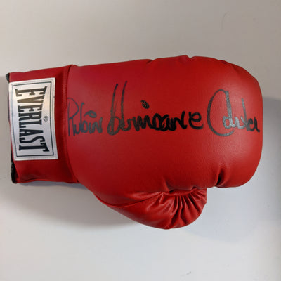 Signed Everlast Boxing Glove - Rubin 