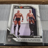 2002 Panini WWE Wrestling 2001 NXT Highlights Insert Cards - Choose From List