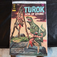 Turok The Son Of Stone #80 Comicbook HIGH GRADE - Gold Key Comic (1972)