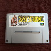 Super Famicom Nintendo SFC Derby Stallion II Horse Racing Japan Cartridge