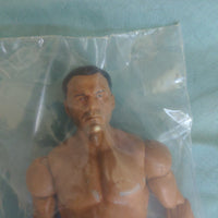 2010 Mattel Basic Dean Malenko Figure with White Trim Tights 1000 on back
