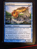 Magic The Gathering MTG Cards - Morningtide - Choose From Dropdown Menu