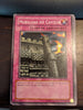 Yu-Gi-Oh Yugioh Cards - Starter Deck Yugi 1st Edition Portuguese - Choose From Dropdown Menu