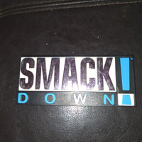 1999 Jakks WWE WWF Smackdown Toy Plaque